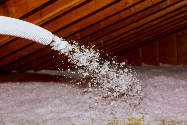 Best Fiberglass Insulation in Lake Ripley, WI