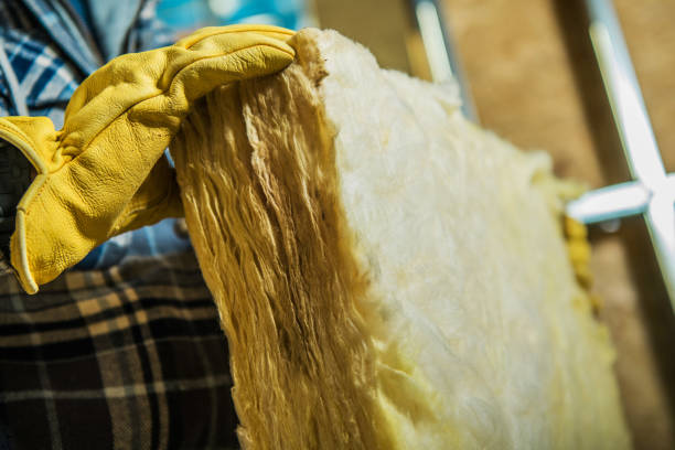 Best Specialized Insulation Services in Lake Ripley, WI