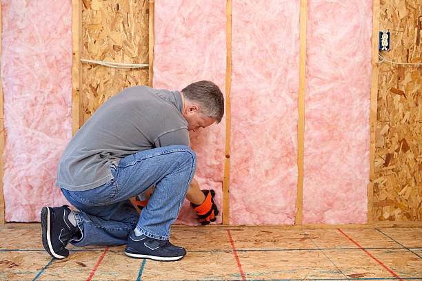 Best DIY Insulation Kits and Guidance in Lake Ripley, WI