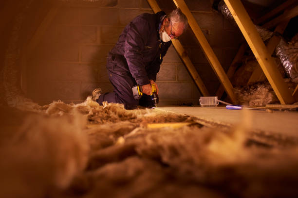 Types of Insulation We Offer in Lake Ripley, WI